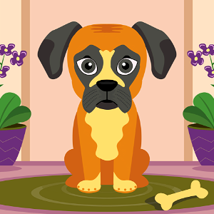 Boxer Dog