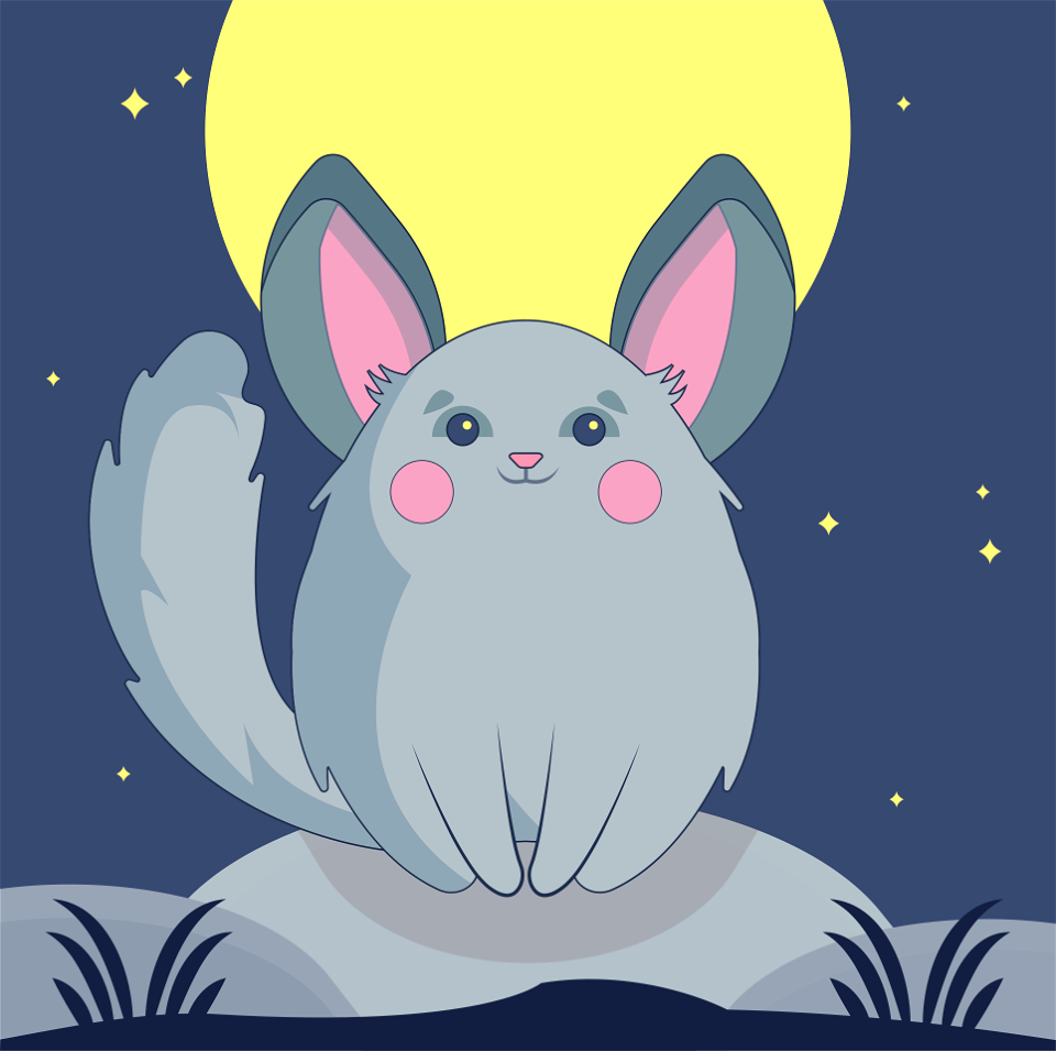 Chinchilla