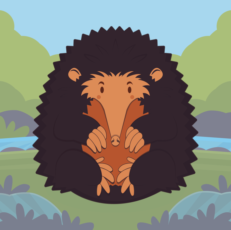 Echidna