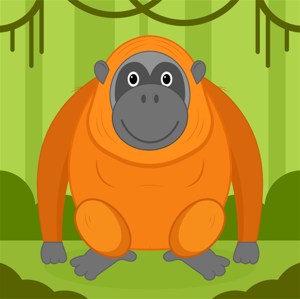 Orangutan
