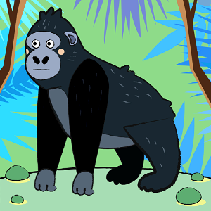 Gorilla