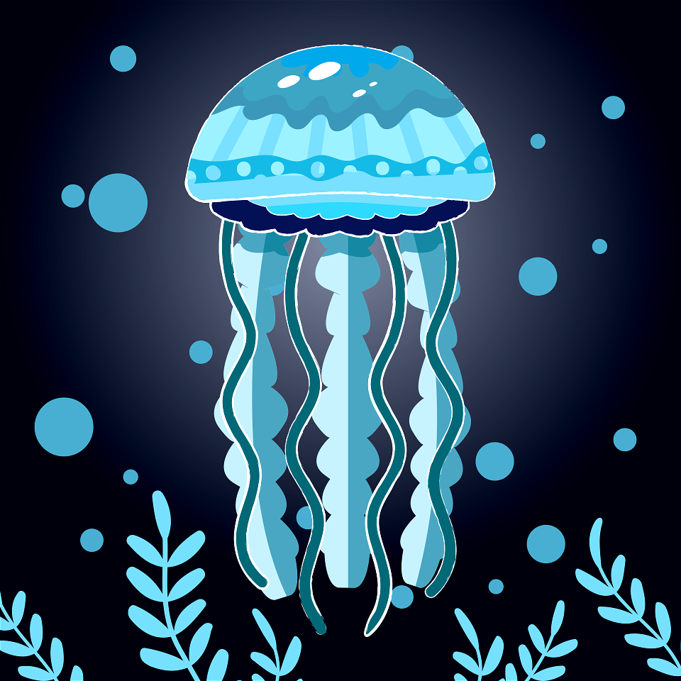 Jellyfish