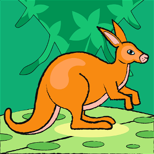 Kangaroo