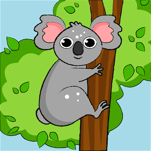 Koala