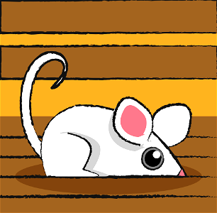 Mouse