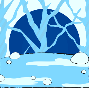 Winter Forest