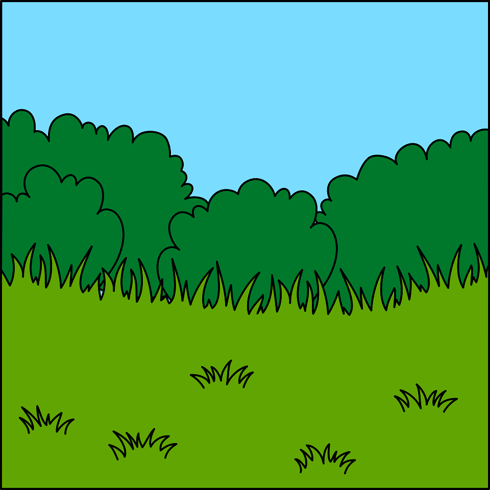 Bush background