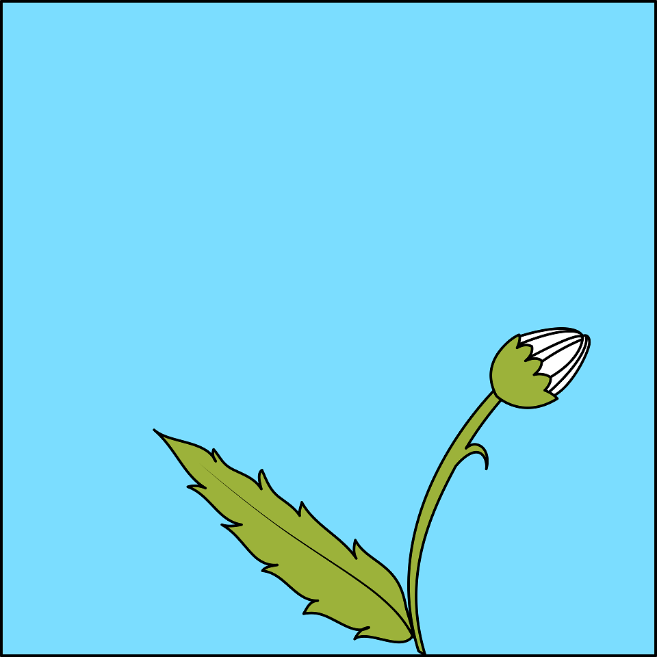 Flower background