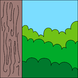 Tree background