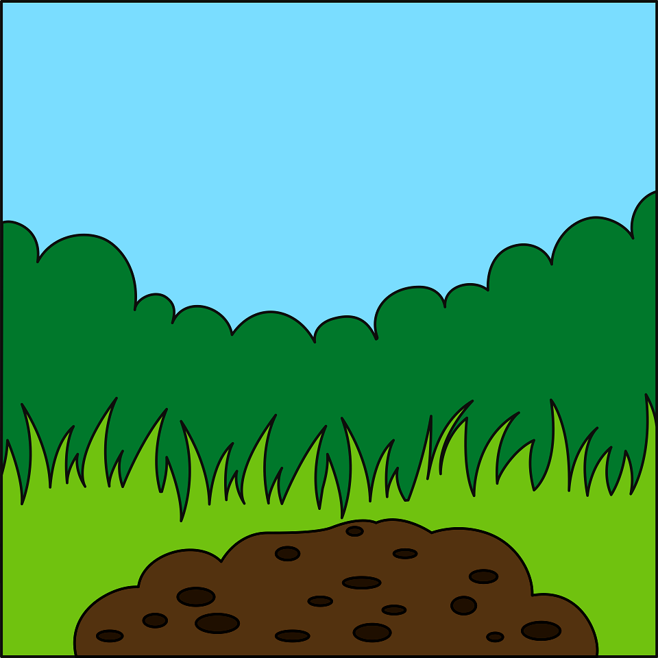Plants background