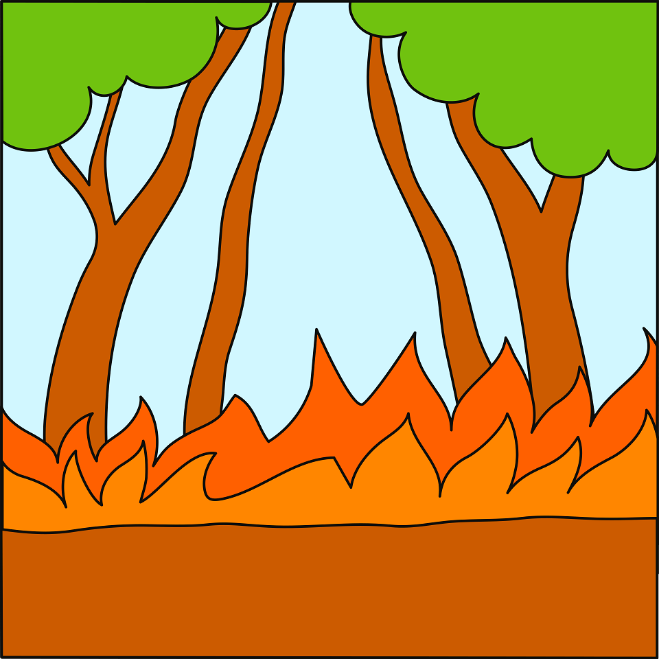 Forest background