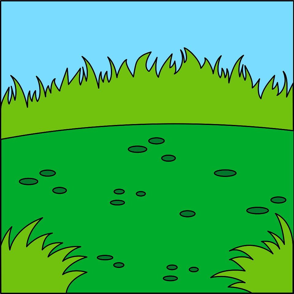Grass background