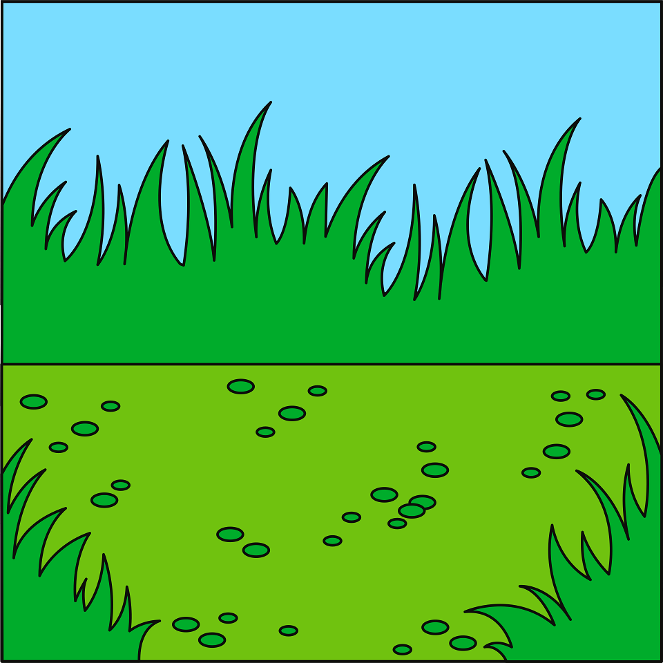 Lawn background