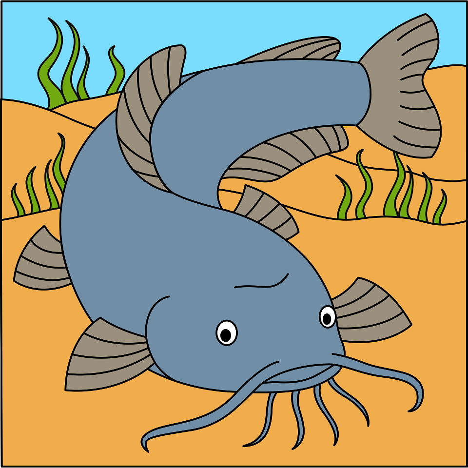 Catfish