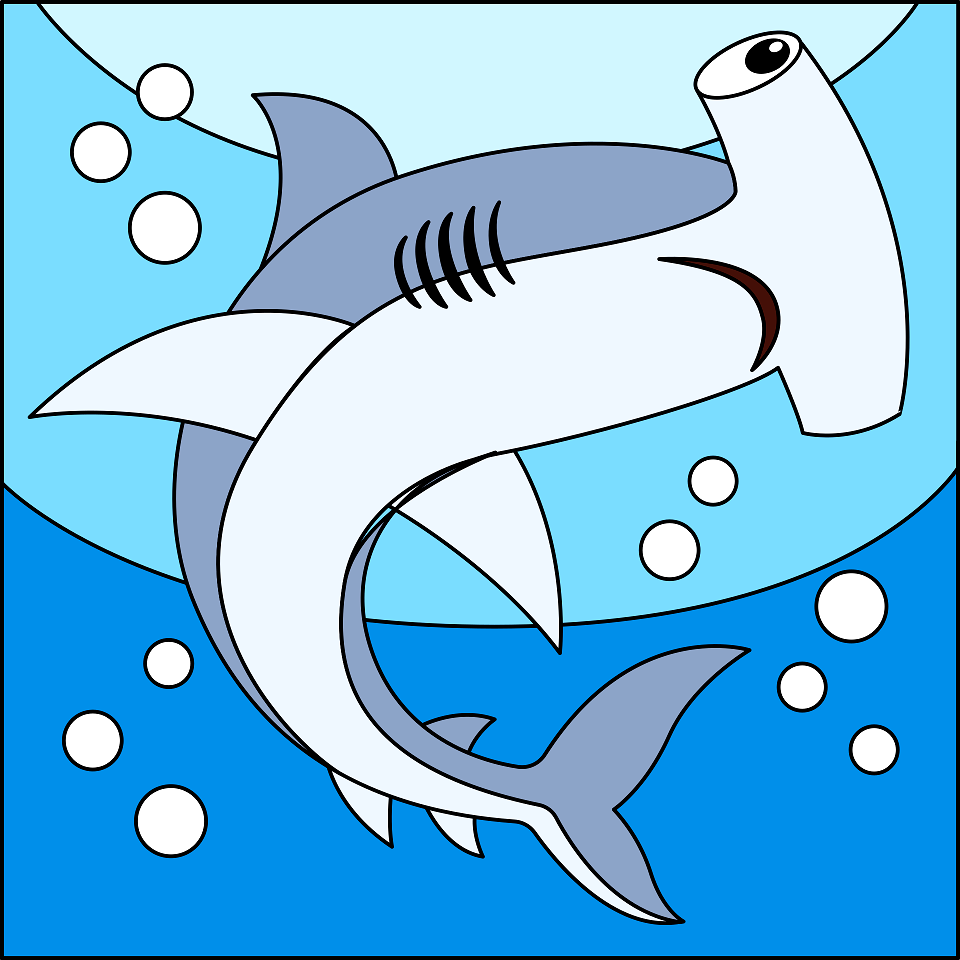 Hammerhead shark