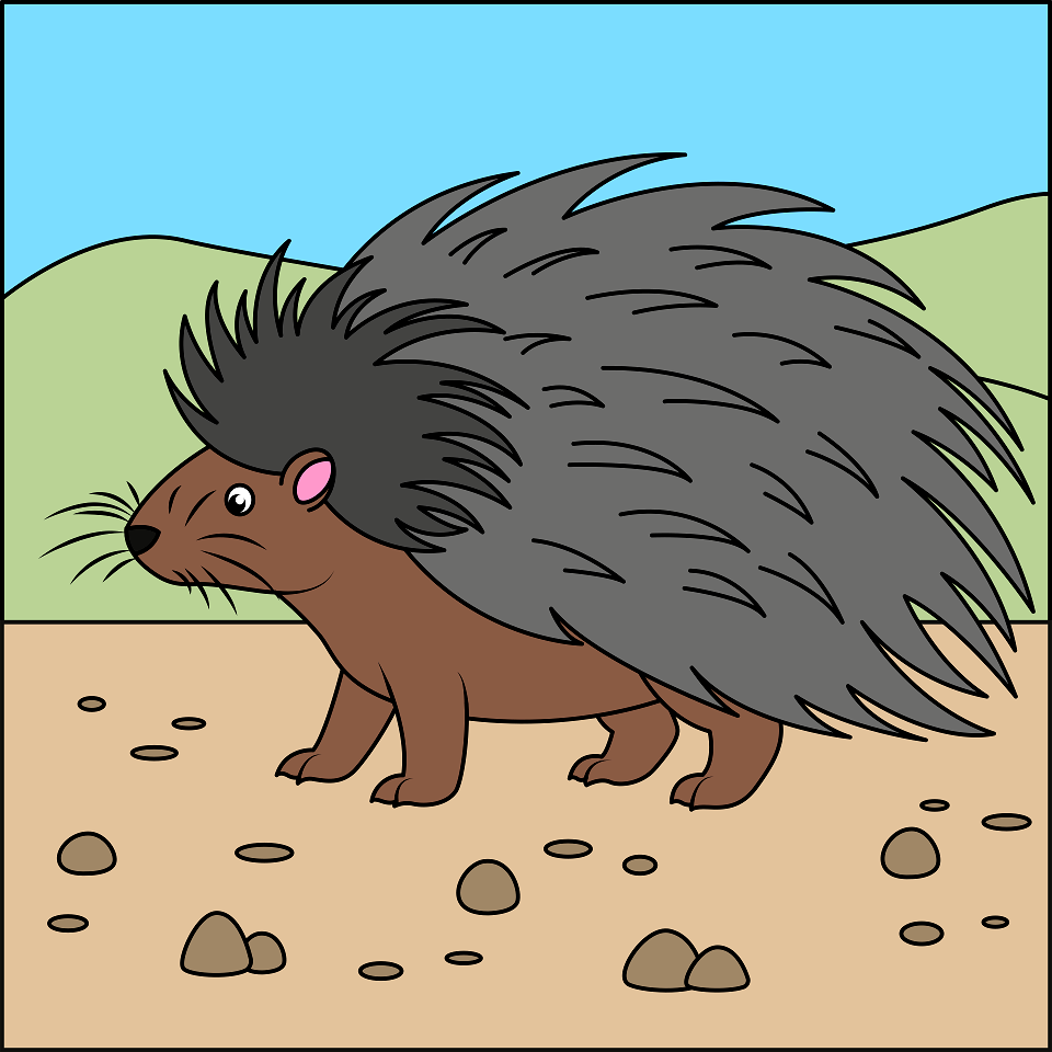 Porcupine