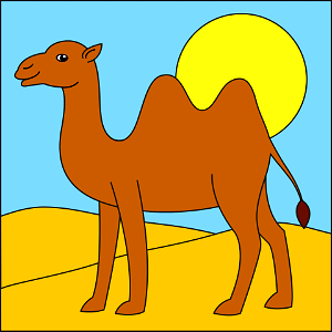 Camel