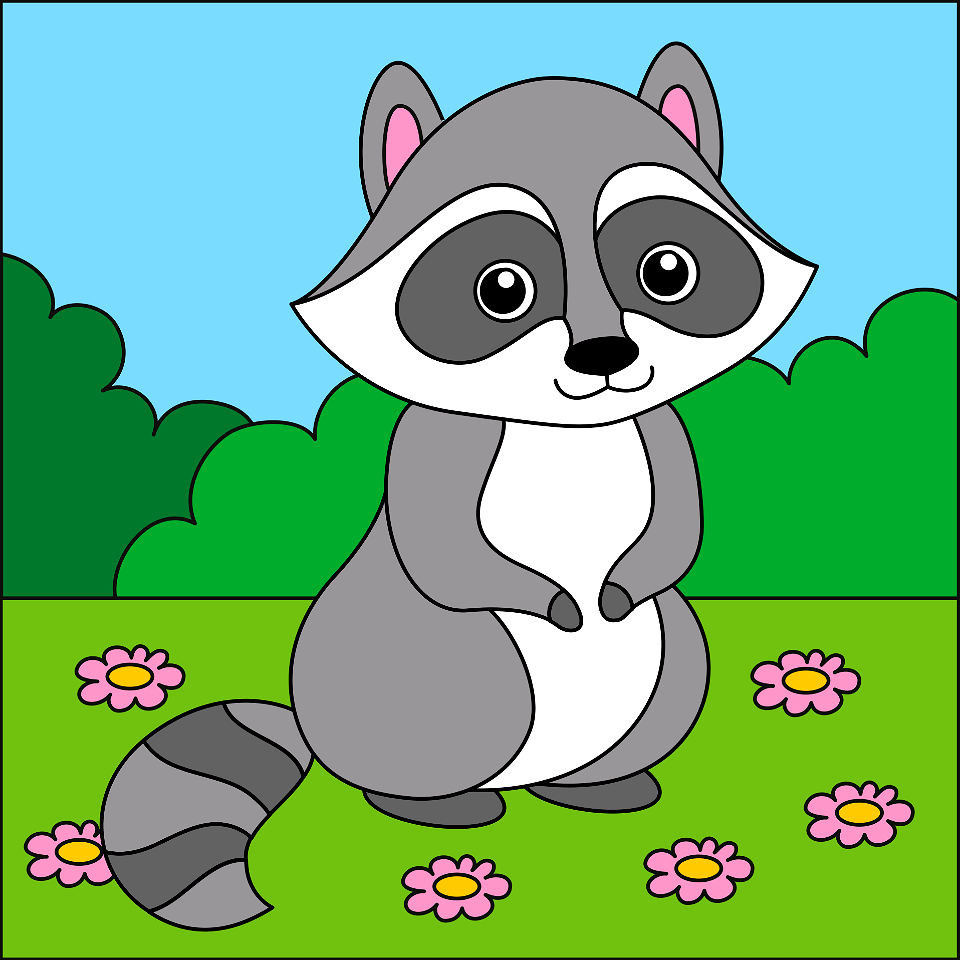 Raccoon