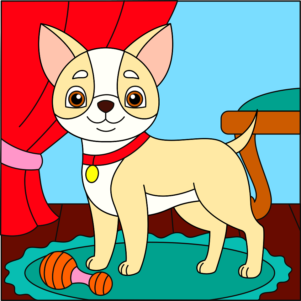 Chihuahua