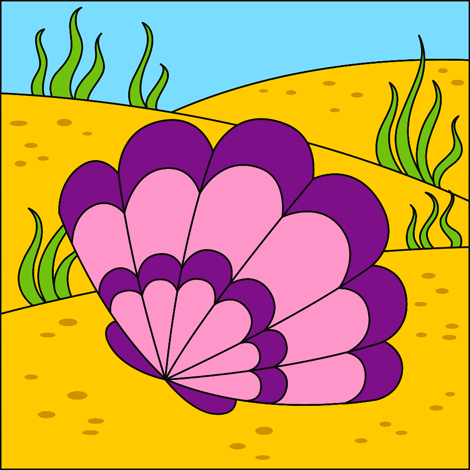 Shell