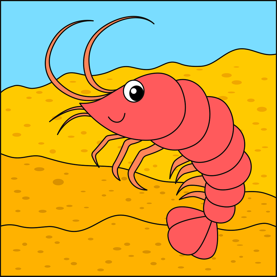 Shrimp