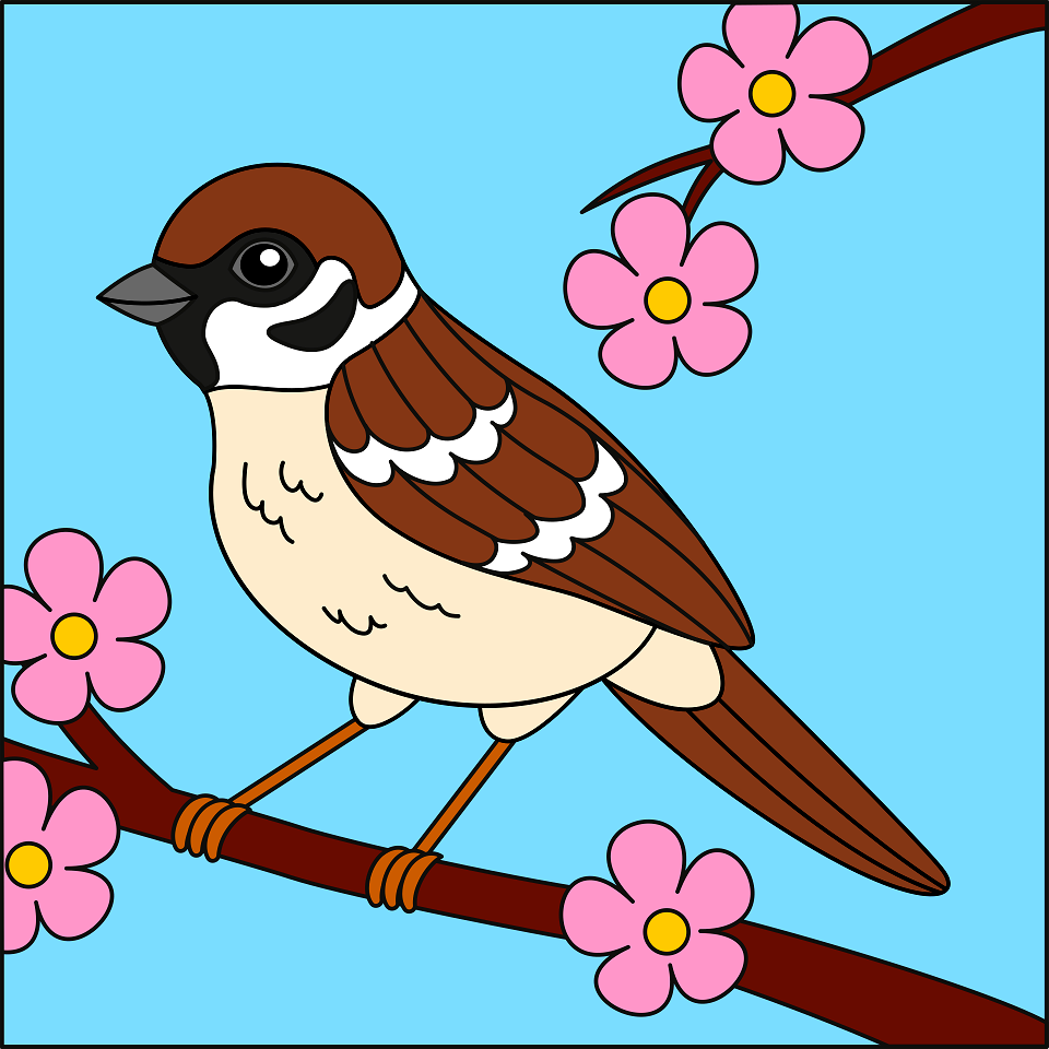 Sparrow