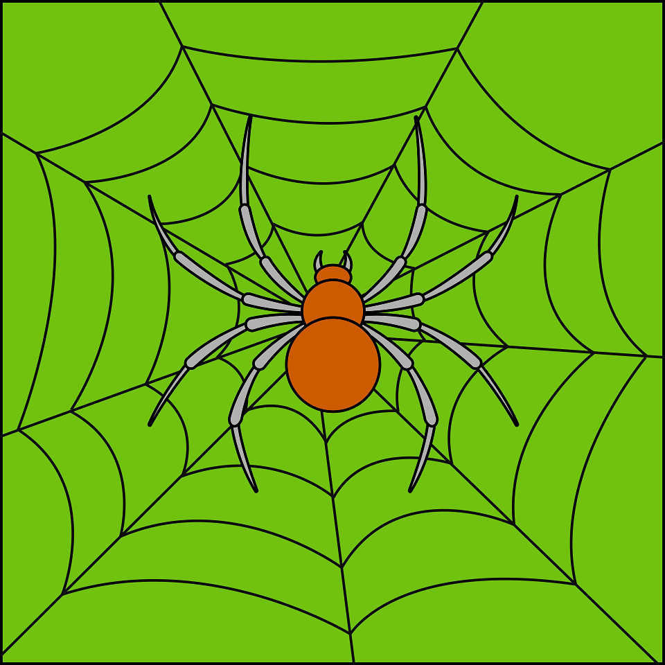 Spider