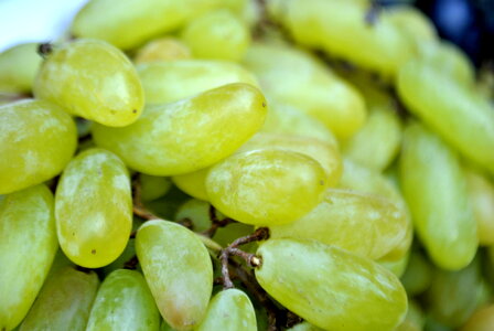 Grapes