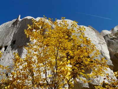 Rock autumn colorful