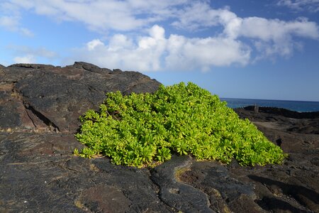 Hawaii Volcanoes National Park