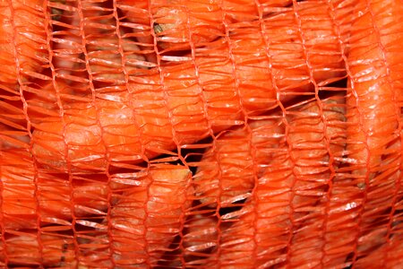Carrot cook food