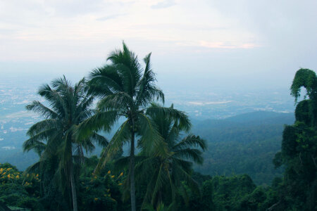 12 Thailand