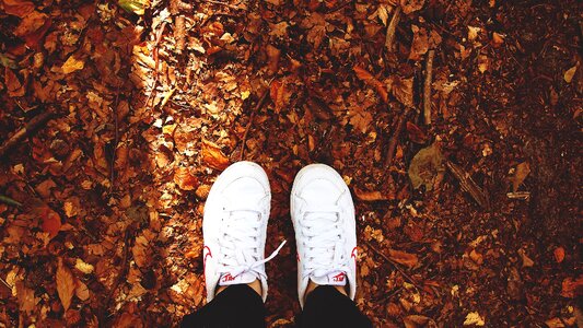 Autumn sneakers footwear photo