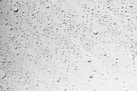 Window droplets gray photo
