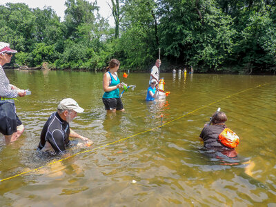 Students surveying freshwater mussels-1