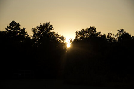 Sunset behind the Trees at J.W. Wells State Park, Michigan photo