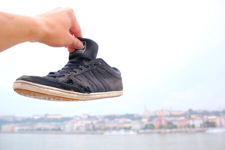 shoe