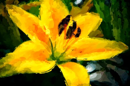 Fine Arts lily yellow