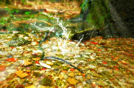 Water rocks splash