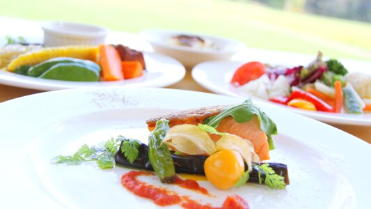 Grilled Salmon with Vegetables photo