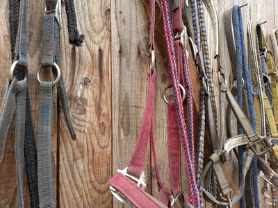 Horse saddle reiter
