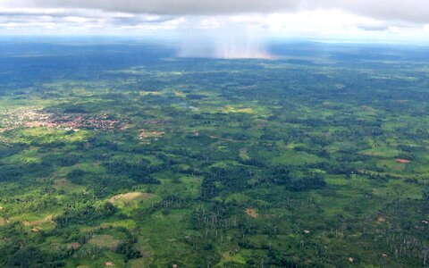 Distance forest rain photo