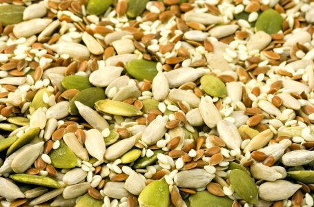 Nut nuts sunflower