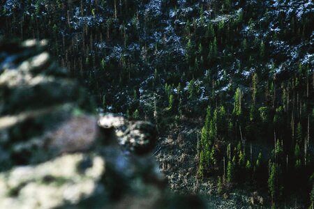 Mountain