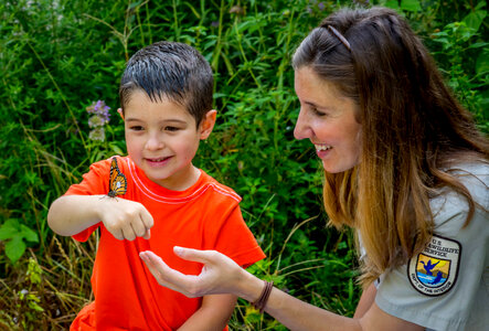 FWS employee and little boy look at tagged monarch-8