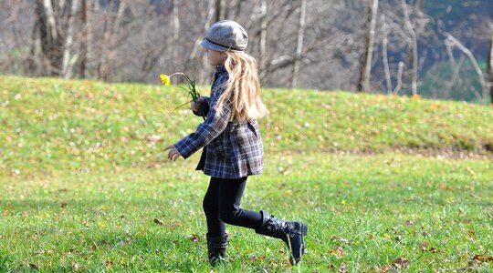 Blond run meadow photo