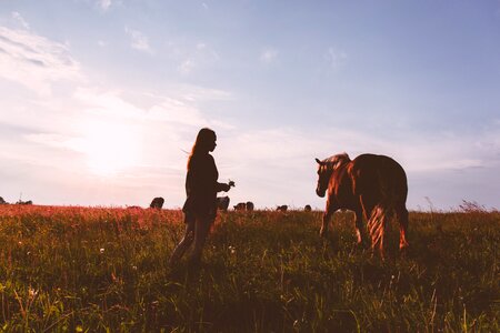 Girl Horse Sunset Field Woman photo