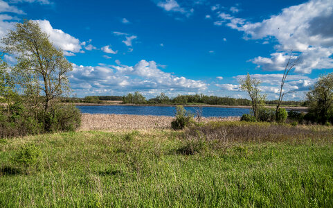 Landscape of the Marsh photo