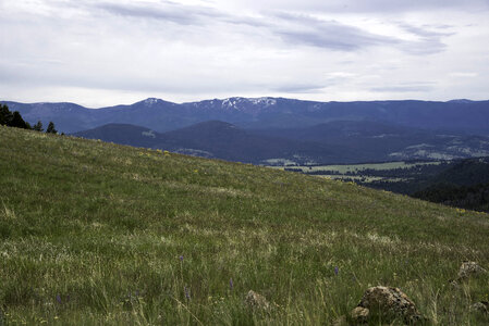 Hillside grass with tall mountains in the background in Helena