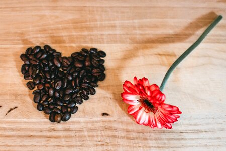 Coffee Loveheart Red Flower photo